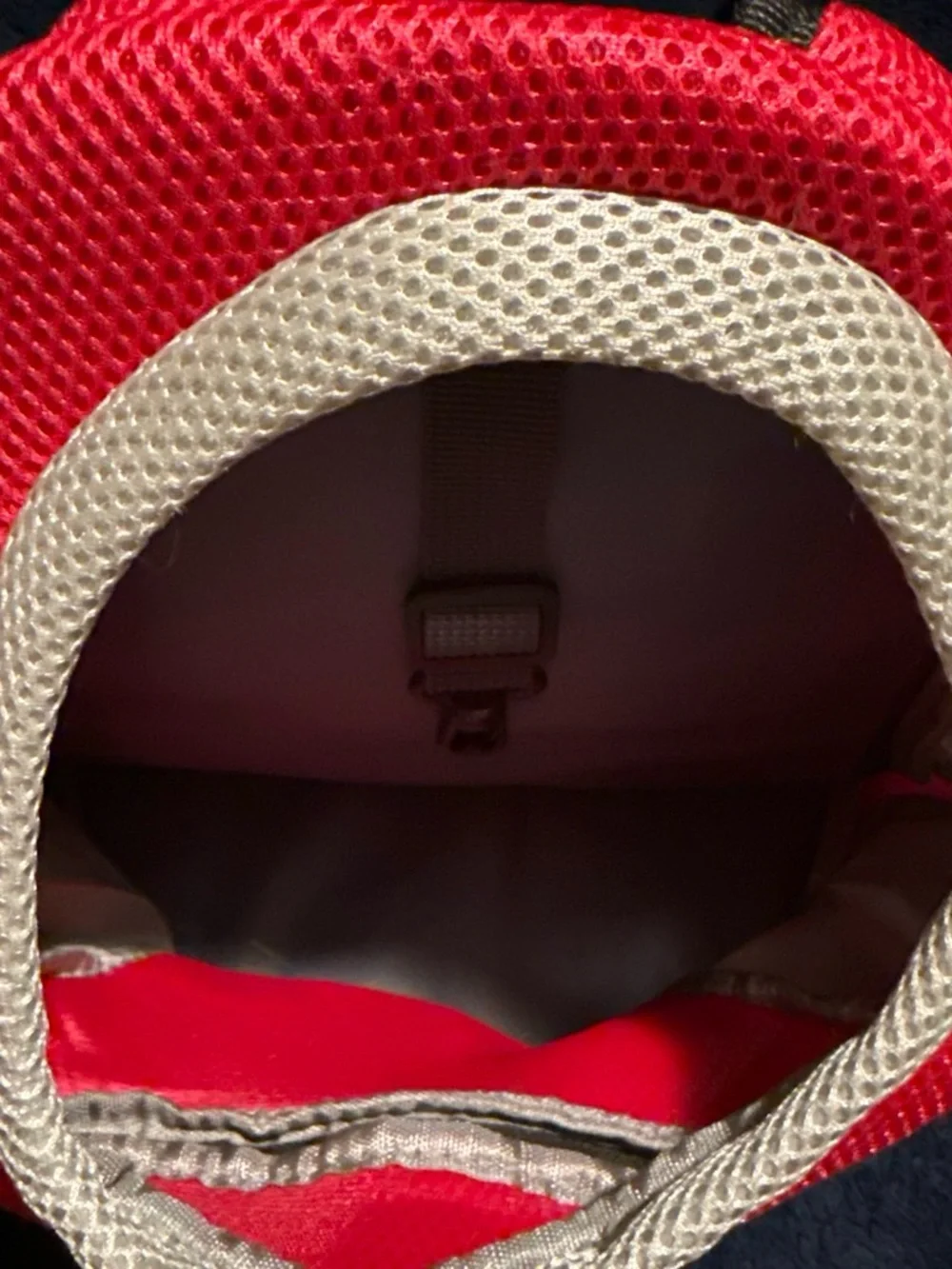 Pink and Cream Pet Carrier Backpack